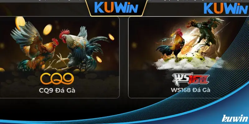 Cách tham gia cổng game Đá gà KUWIN