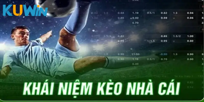 Điều cơ bản về kèo nhà cái