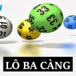 Lô ba càng KUWIN