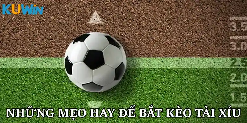 Những mẹo hay để bắt kèo tài xỉu