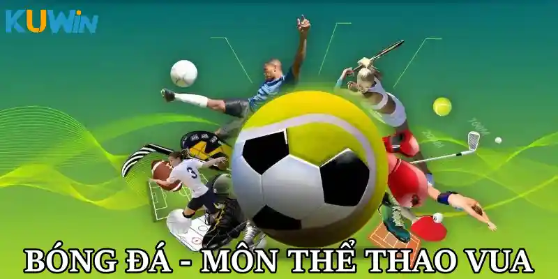Bóng đá – Môn thể thao vua với sức hút lớn